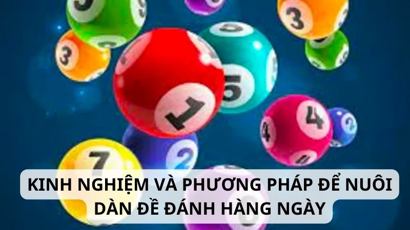 Cách Nuôi Dàn Đề 8xbet Hiệu Quả